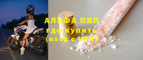 прущие грибы Нефтекумск