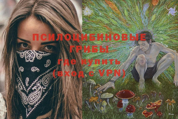 ГАЛЛЮЦИНОГЕННЫЕ ГРИБЫ Абинск