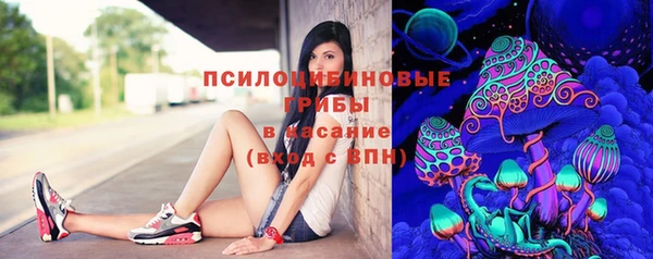 ГАЛЛЮЦИНОГЕННЫЕ ГРИБЫ Абинск