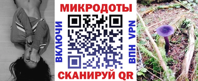 Галлюциногенные грибы Psilocybine cubensis mega как войти Фёдоровский