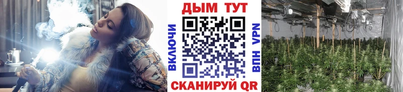 Бошки марихуана MAZAR  закладка  hydra как зайти  Фёдоровский 